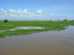 River Amazon